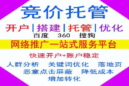 竞价SEM助力电商平台快速提升流量